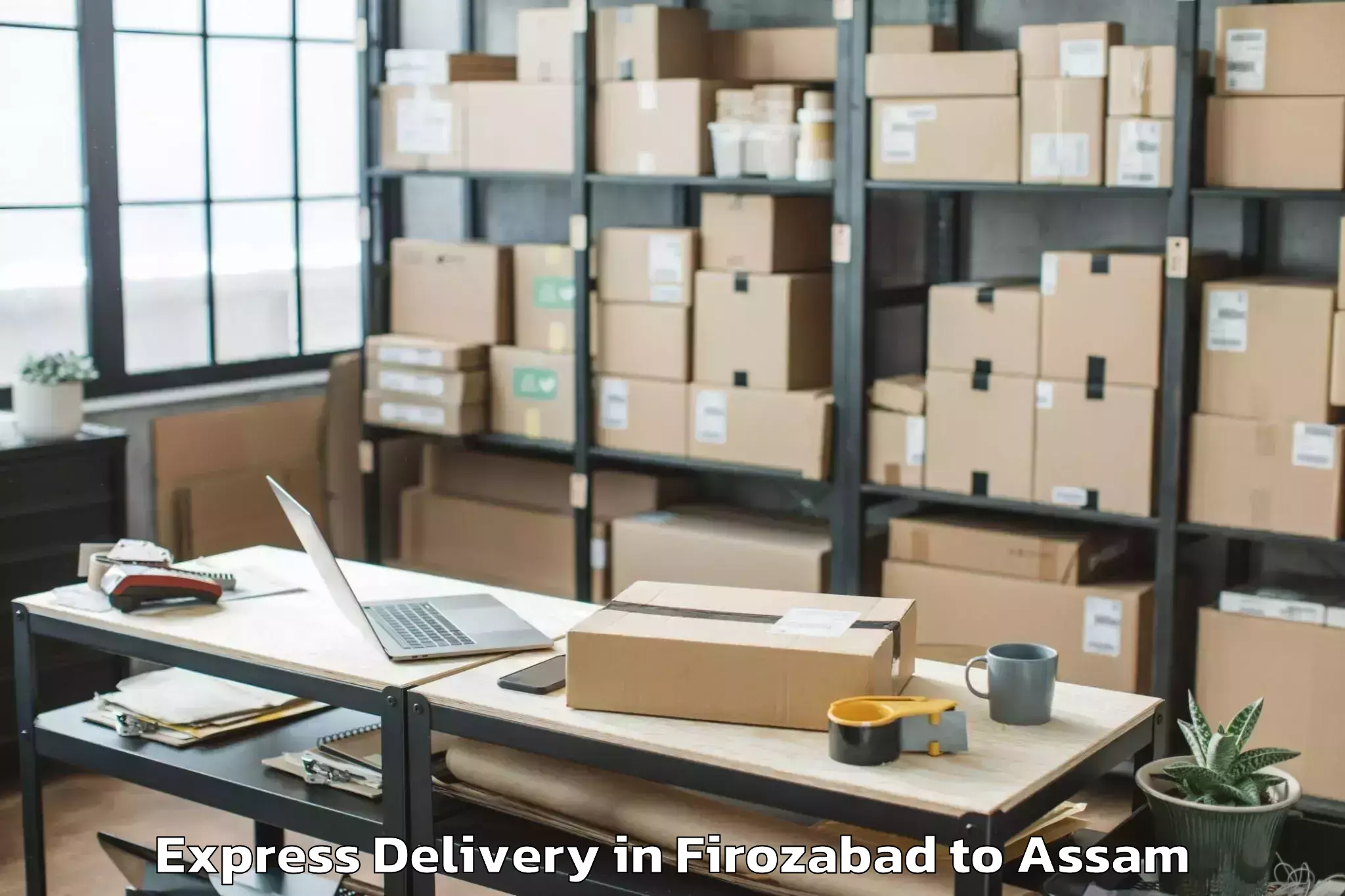 Professional Firozabad to Cotton University Guwahati Express Delivery